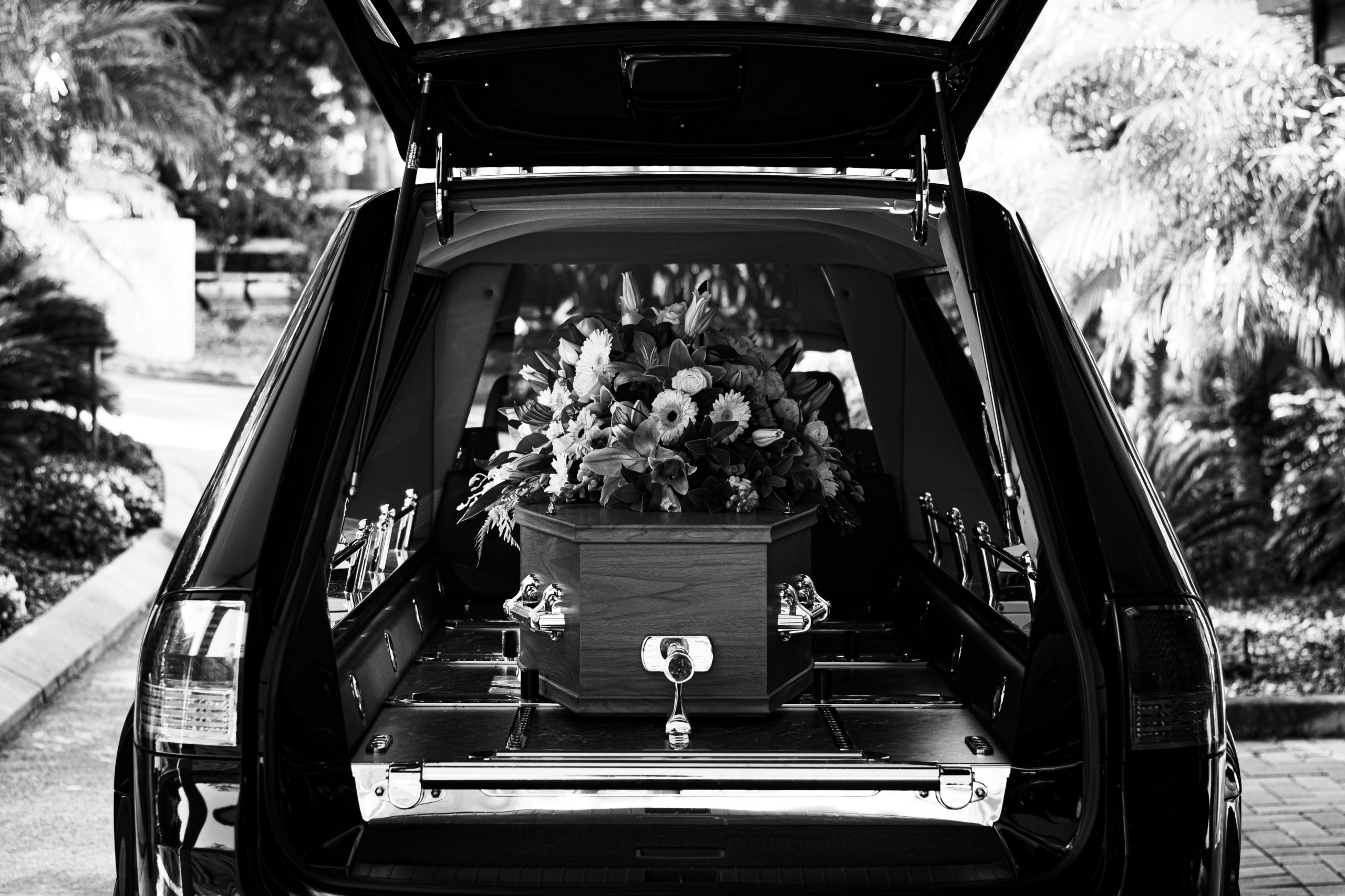 What Does Disposition Of Last Remains Mean Brown Law Firm LLC